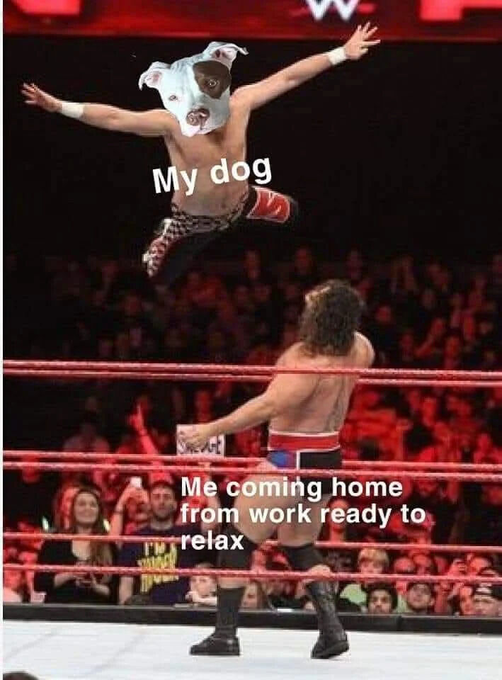 WholesomeMeme's tweet photo. https://t.co/aBxikceoxw