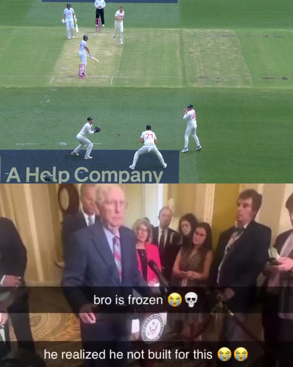 bear 🧸 tweet media