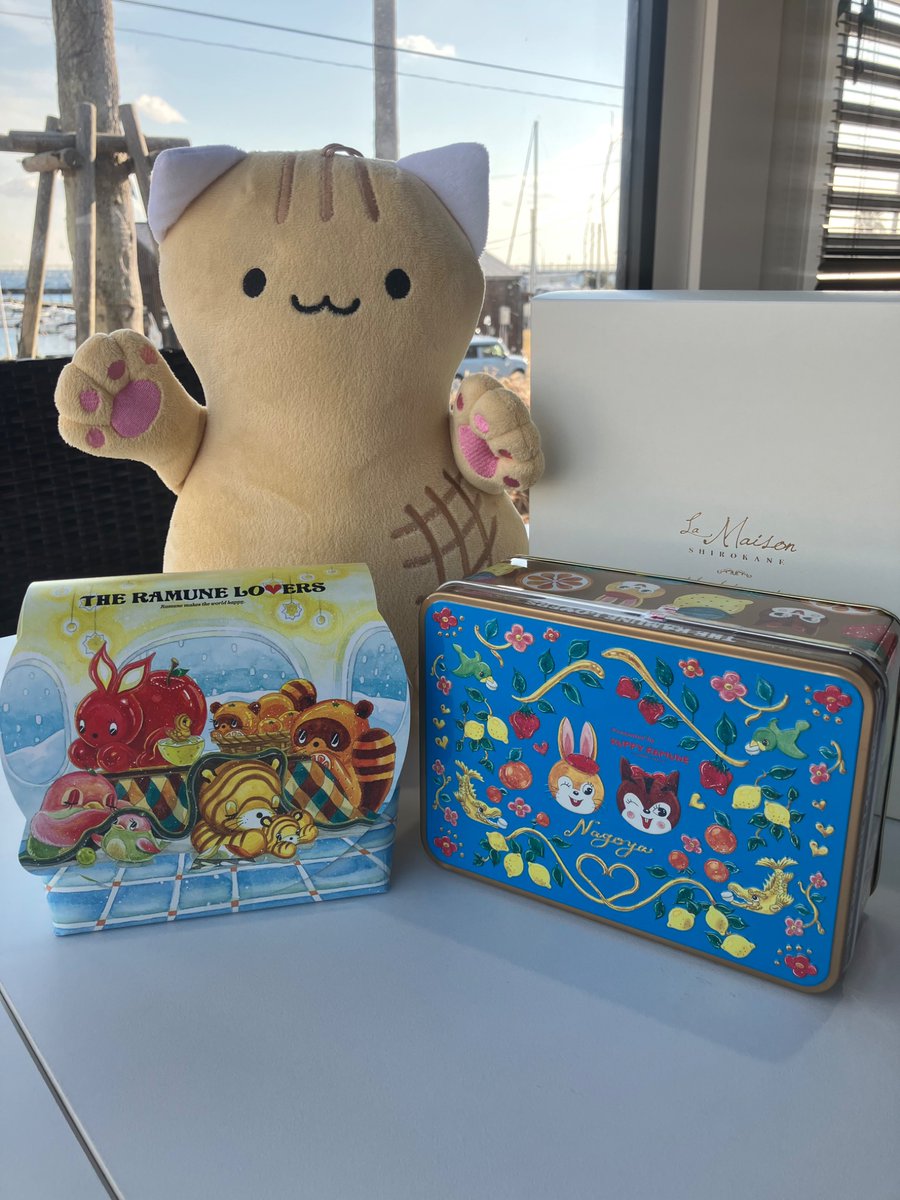 ぴーにゃっつ【公式】 (@p_nyattu_chiba) / Posts / X