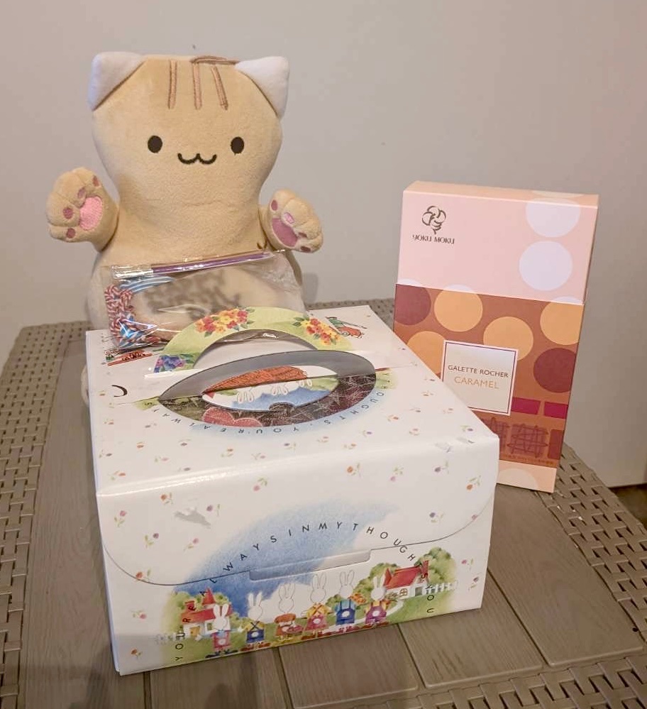 ぴーにゃっつ【公式】 (@p_nyattu_chiba) / Posts / X