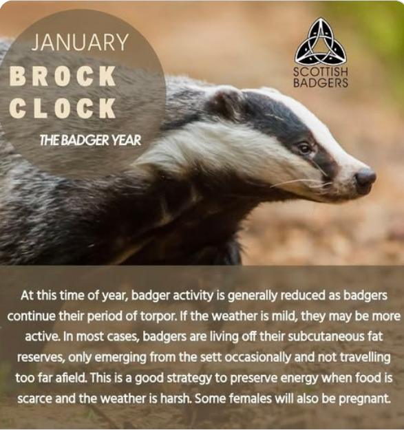 Amelea Teckel tweet media