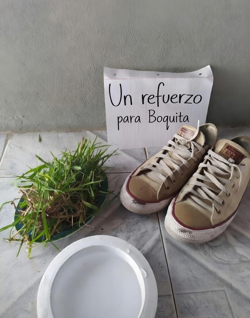 bollum22's tweet image. Si, estoy ansioso... Más vale asegurar!