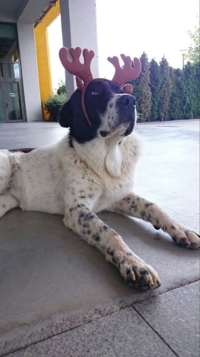 Ankara kan kokuyor…
#matmazelicinadalet