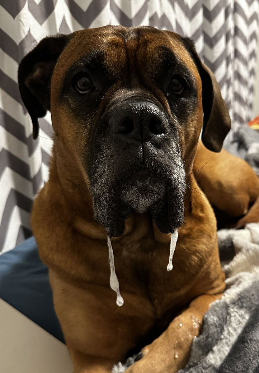 Fonzie VanDamme tweet media