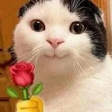 Wow (the dust) 💛🤍🖤💜 tweet media