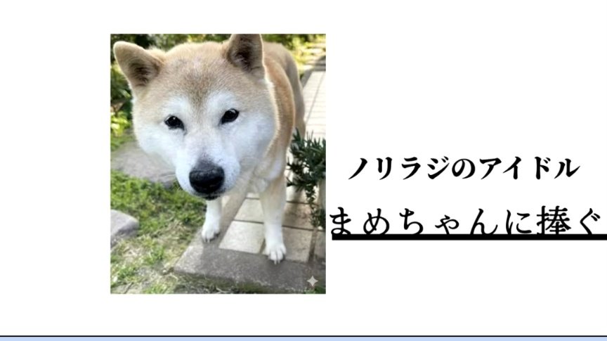 【まめちゃん】3点まとめ まめちゃん