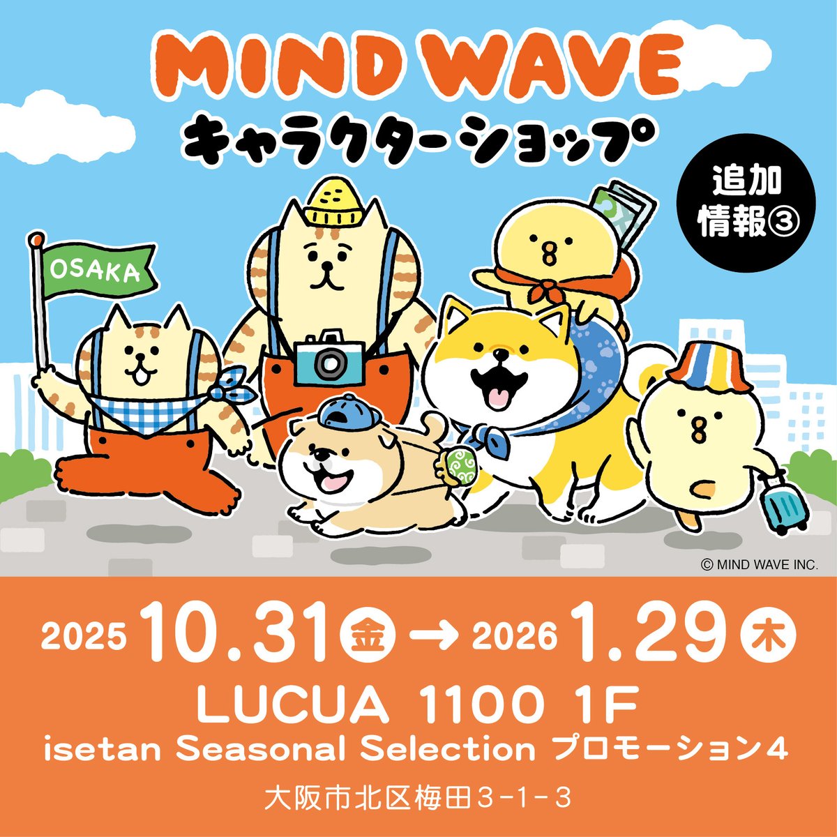 にゃんすけページ オンラインストア＆催事限定 トレーディングスライダーケース ごろごろ