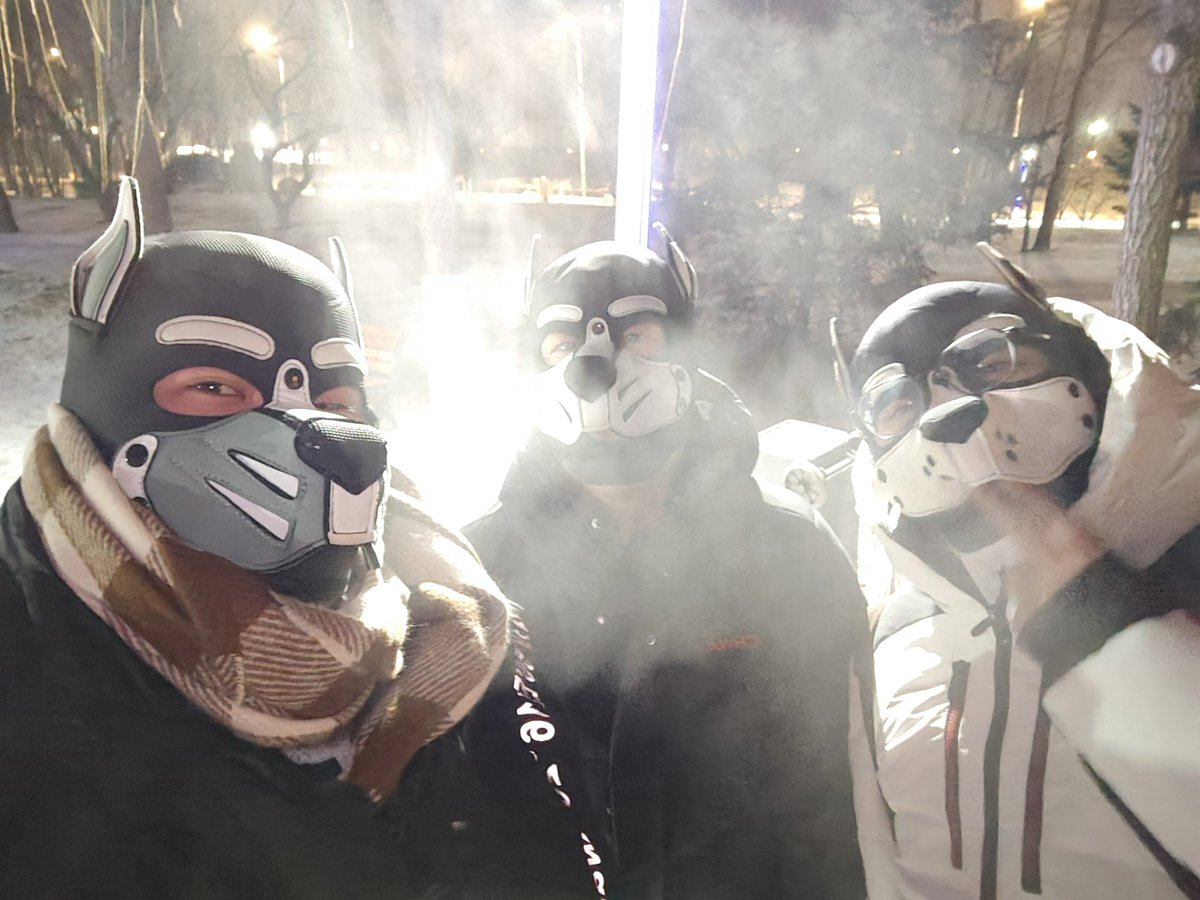 转生成为异世界狗酥 tweet media