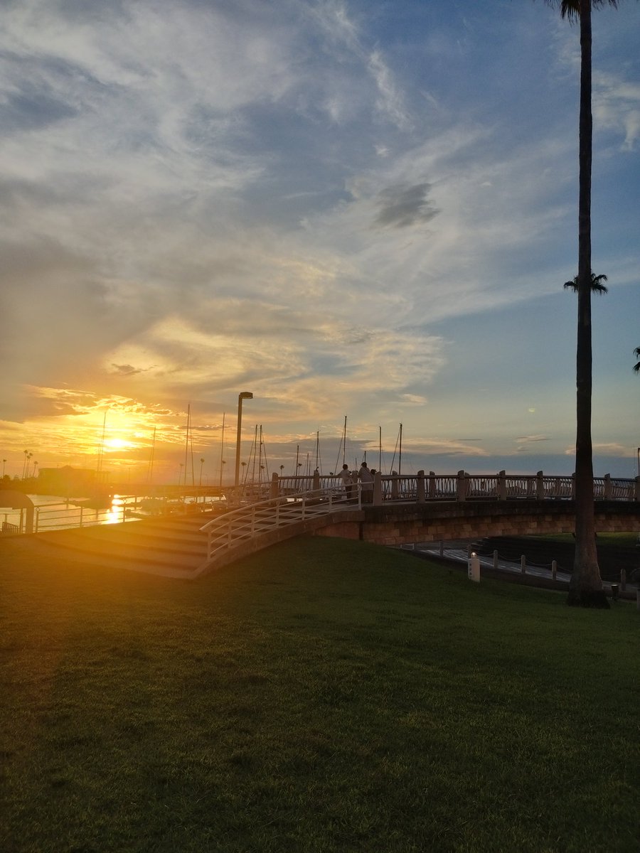 かもがわカフェ tweet media