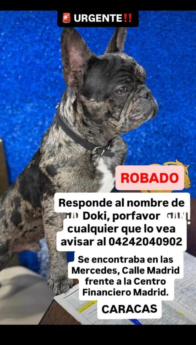 Se busca RP <a href="/infinitoanimal2/">MUNDO ANIMAL INFINITO</a>: 🆘🆘 URGENTE DIFUNDIR POR FAVOR DIFUNDIR 🆘🆘🆘🆘🆘
