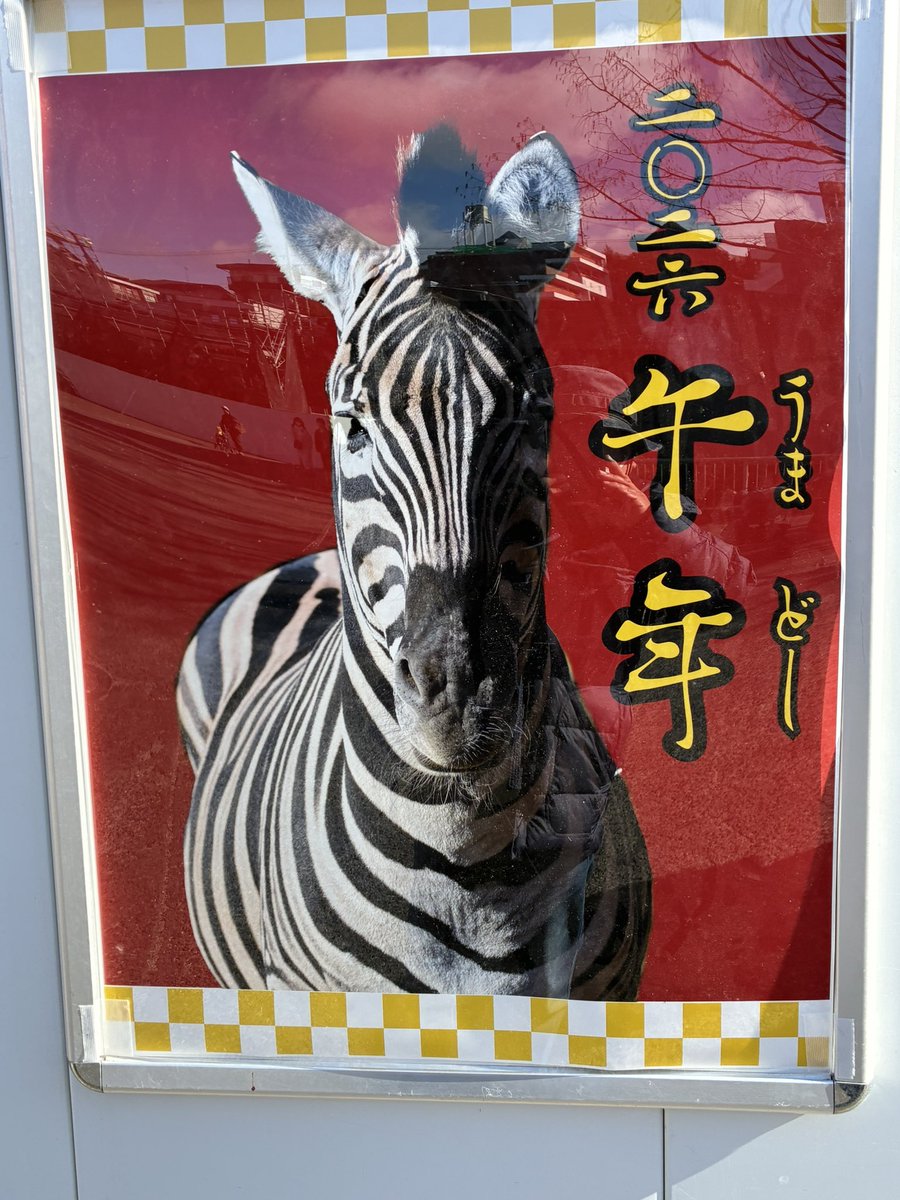 chitabus_jp 明けましておめでとうございます 東山動植物園に貼って