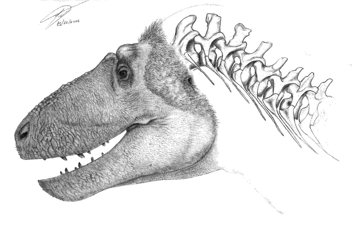 Hugo Valdez tweet media