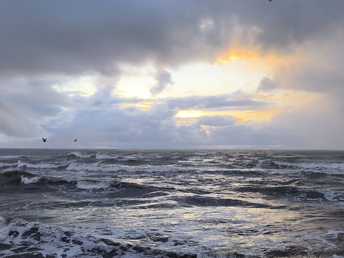 Elīna Medne (@medneelina) on Twitter photo 