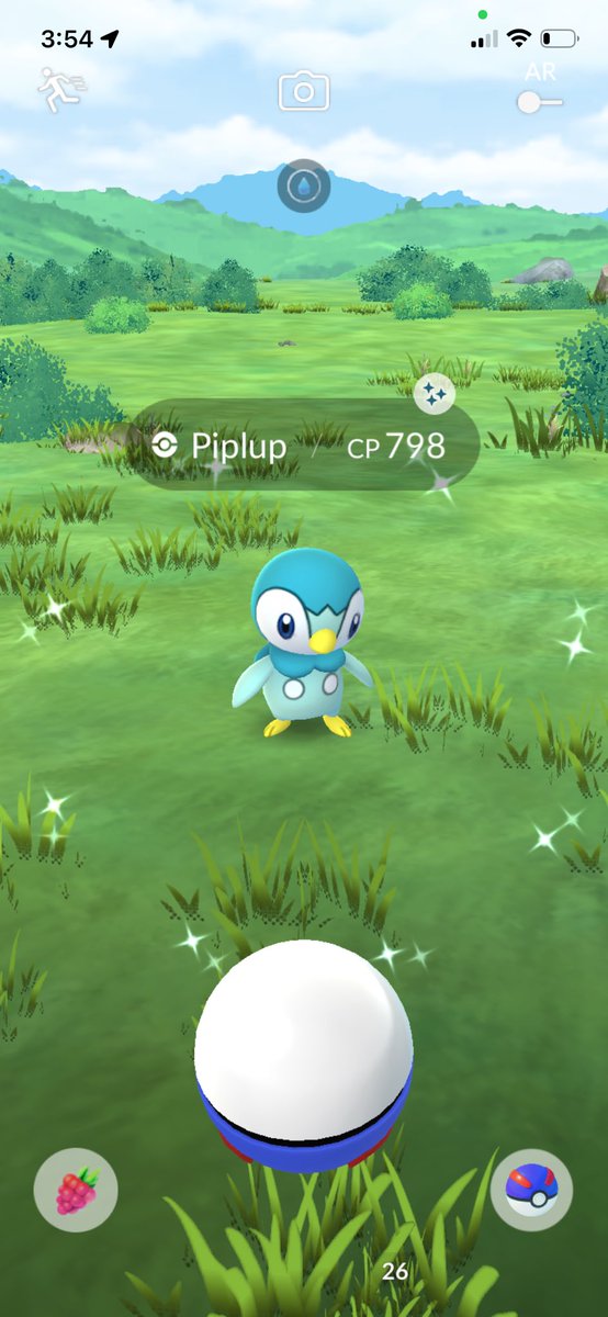 NotAdamDavis's tweet image. Obligatory shiny Piplup Comm Day pics! #ShinyPokemon #PokemonGO #PokemonGOCommunityDay