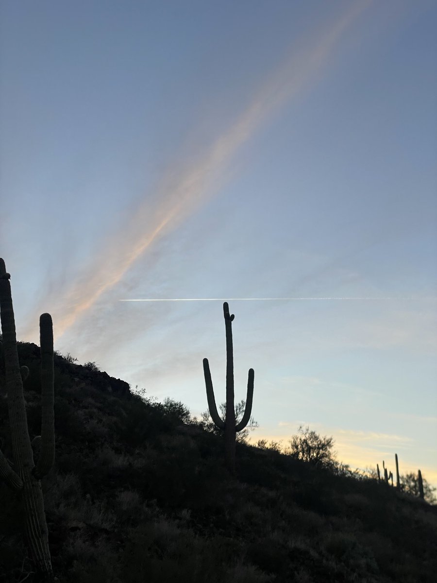 Andrew Emery Brown tweet media