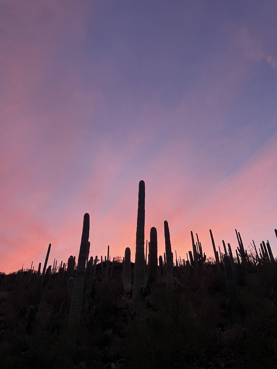 Andrew Emery Brown tweet media