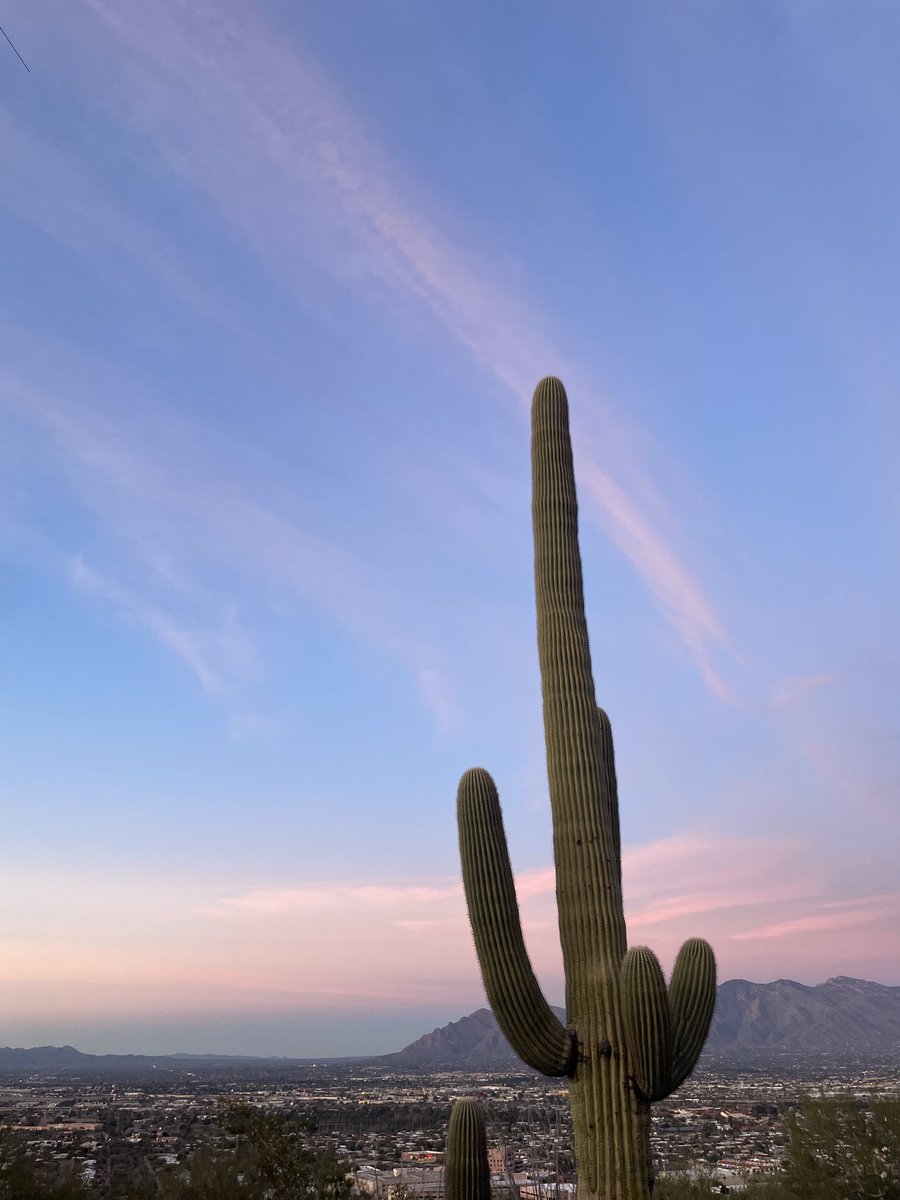 Andrew Emery Brown tweet media