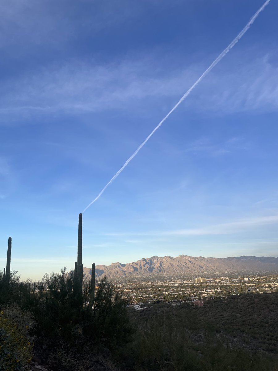 Andrew Emery Brown tweet media