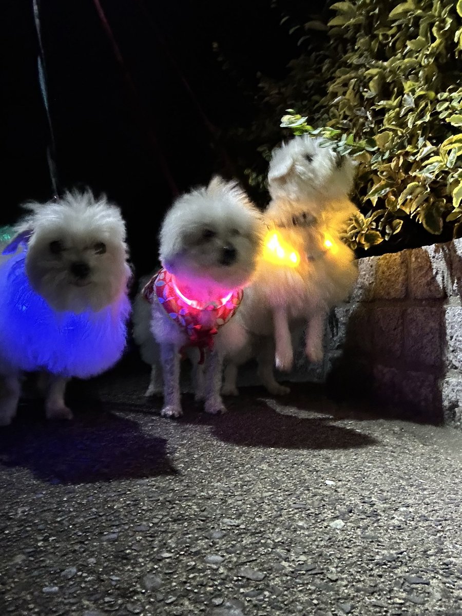 ハルくん (@9Z8lquSv8B3FMpN) / Posts / X