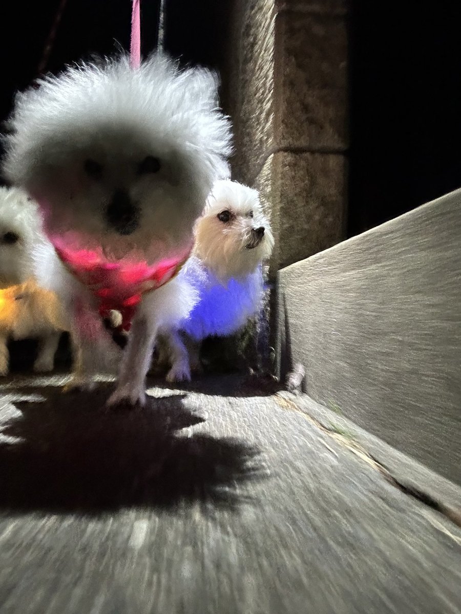 ハルくん (@9Z8lquSv8B3FMpN) / Posts / X