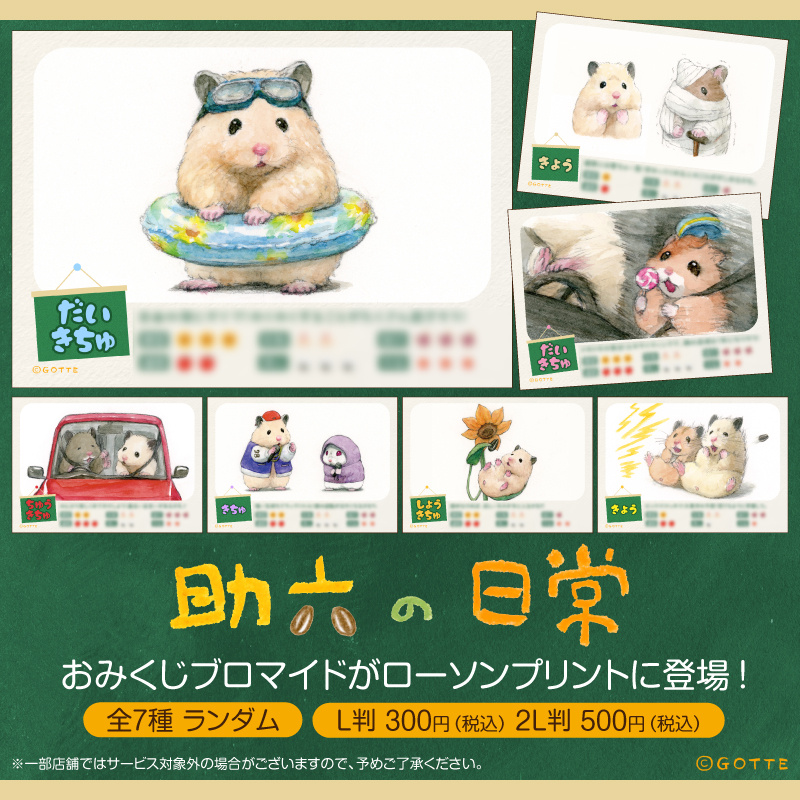 ハムスター助六の日常🌻ひまわり情報局【公式】 (@whatme000) / Posts / X