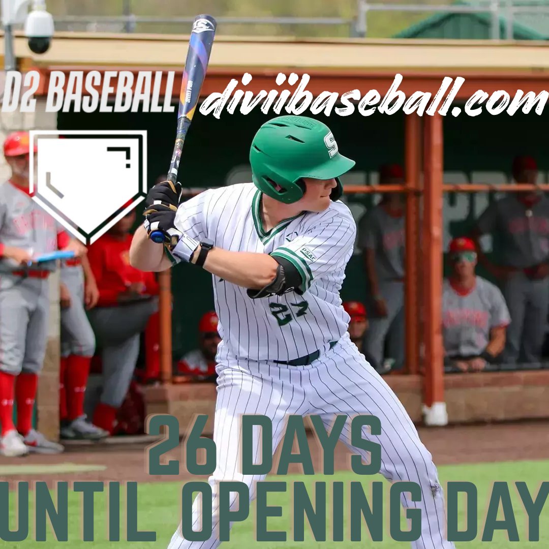 D2 Baseball tweet media