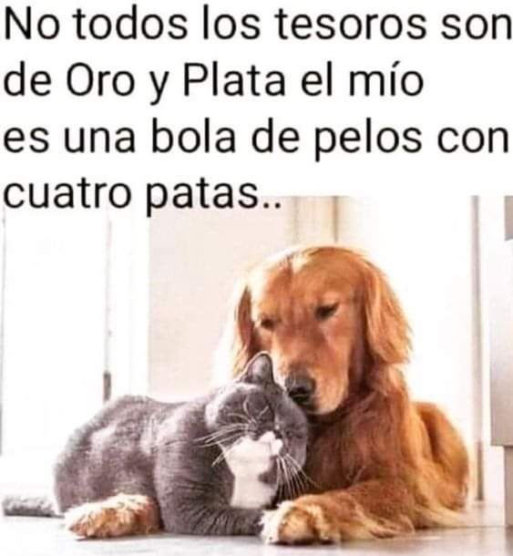 Guadalupe Ramirez tweet media