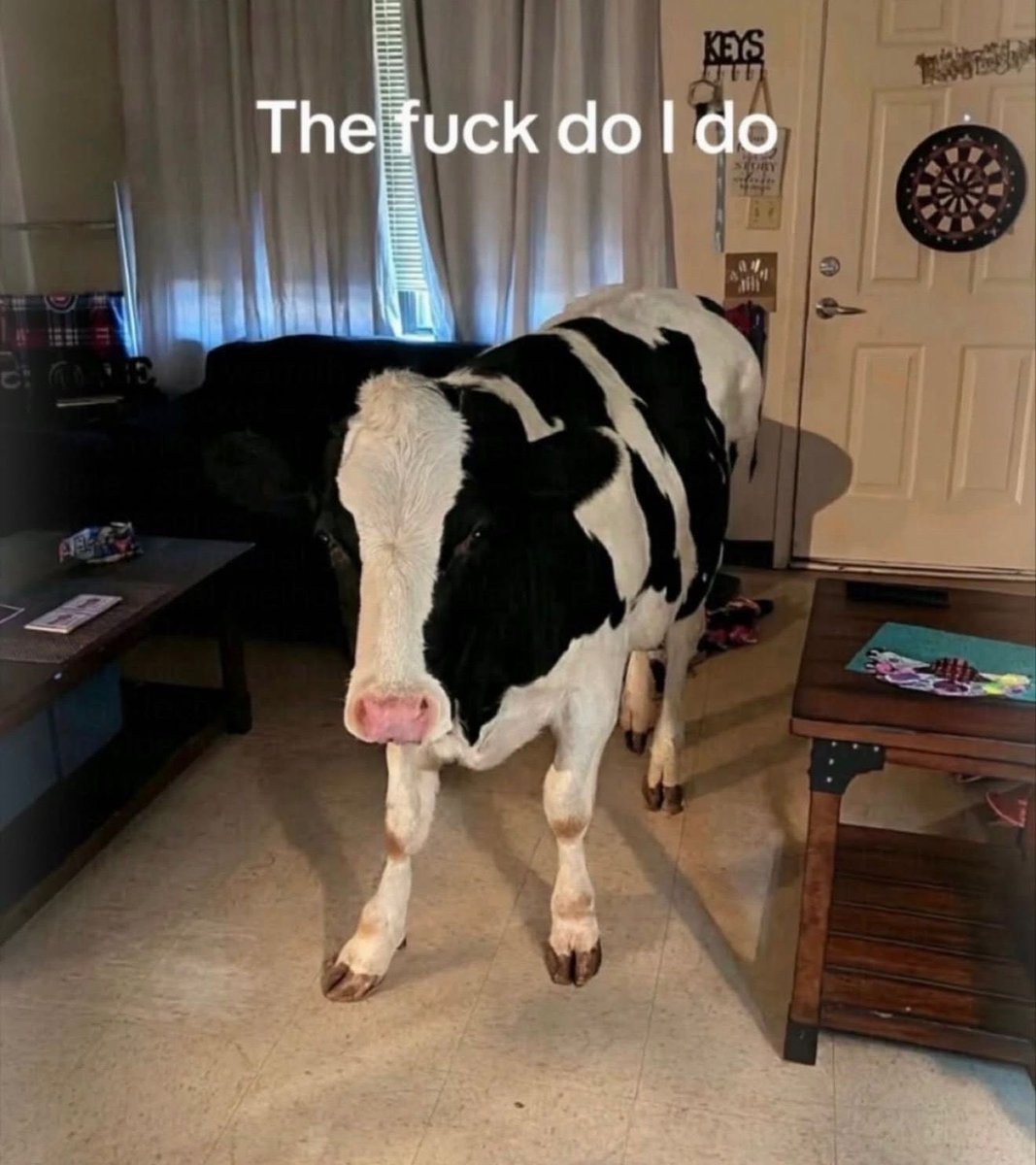 no context memes (@weirddalle) on Twitter photo 