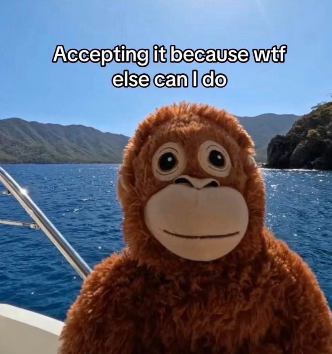 Respectful Memes (@respectfulmemes) on Twitter photo 