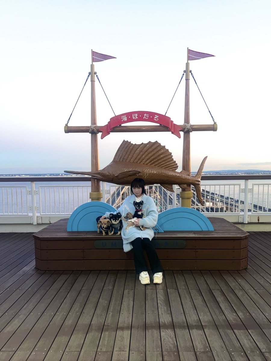 琉陀瓶ルン tweet media