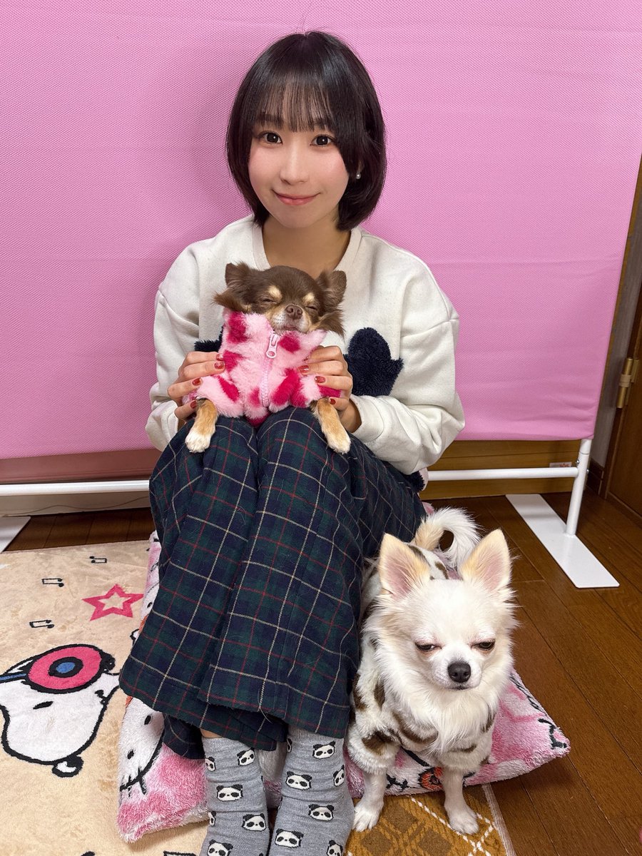 CHIHIRO (@chihiro312) / Posts / X