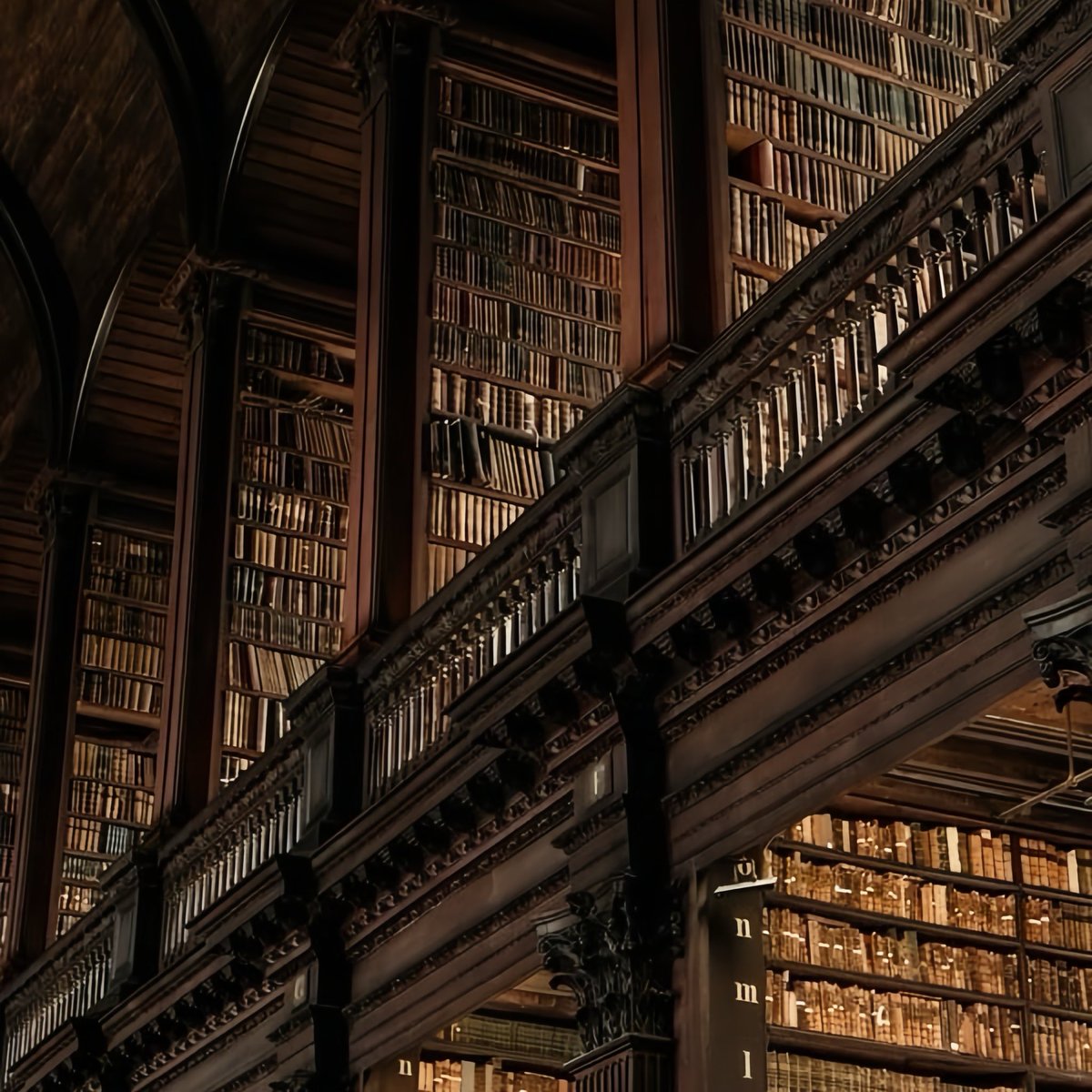 rubyjrmes's tweet image. ⠀⠀⠀           ๋ ࣭ ⭑ books i’ve read in 2026;
⠀⠀⠀          ⠀⠀⠀       — a thread 𐙚