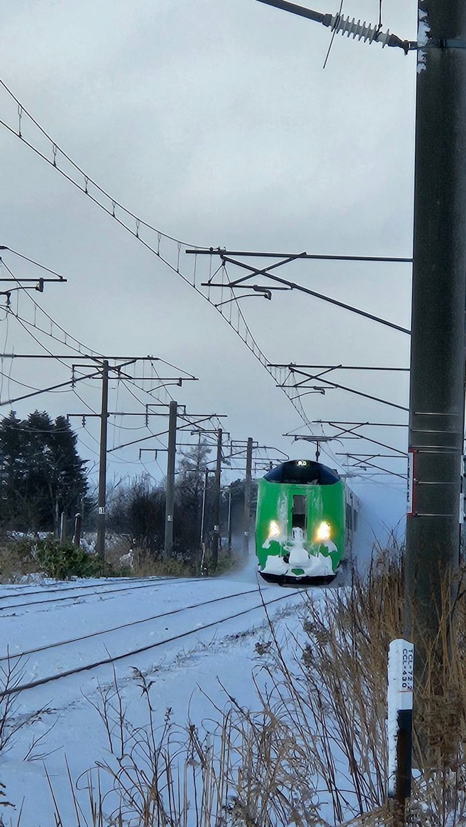 かっちゃん、 (@katchan0809) / Posts / X