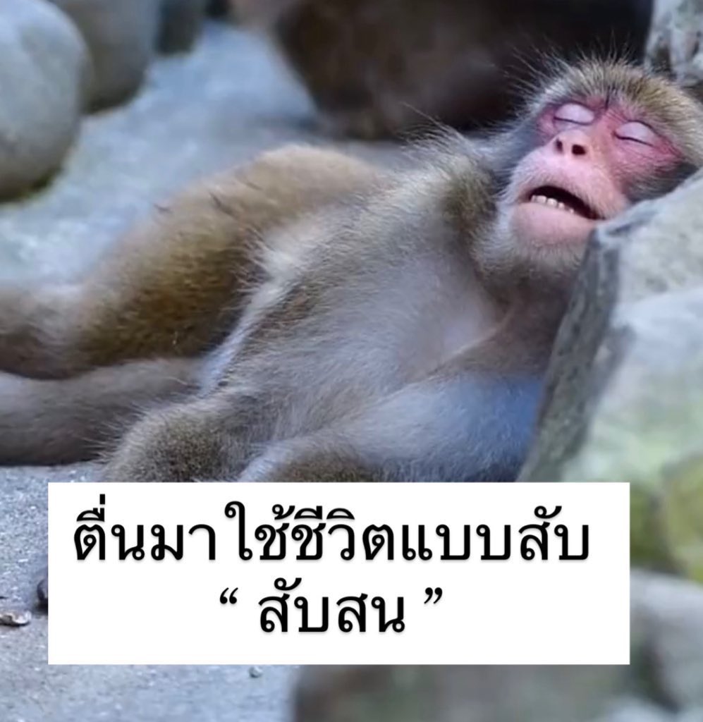 sfkkfs_'s tweet photo. ชีวิตหลังจากหยุดยาว 5555555555555555 https://t.co/XWfdoAFKuu