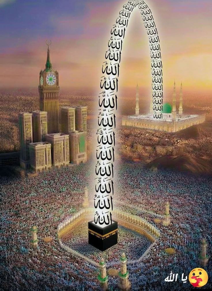 𝐒ҽԋαʀ 👑 tweet media