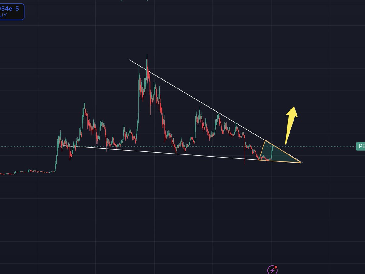 _pepenacci's tweet image. $PEPE