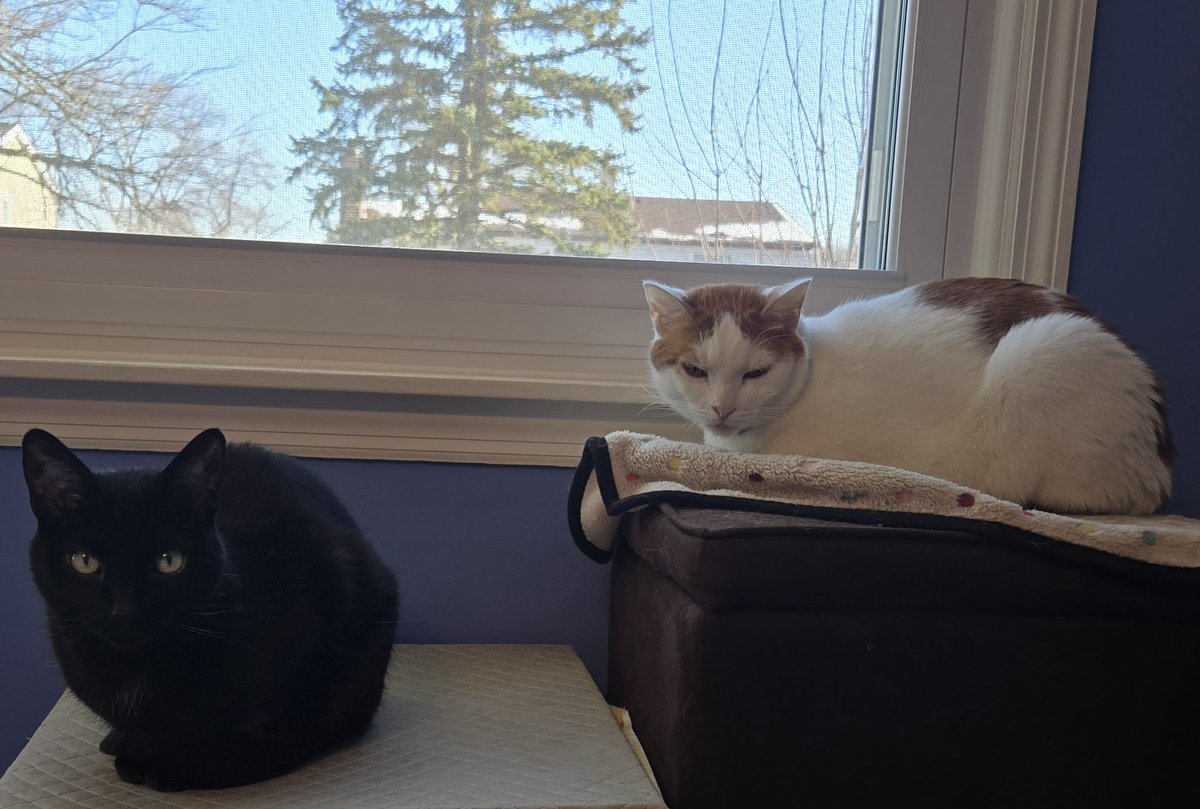 Busy Boy Floyd tweet media