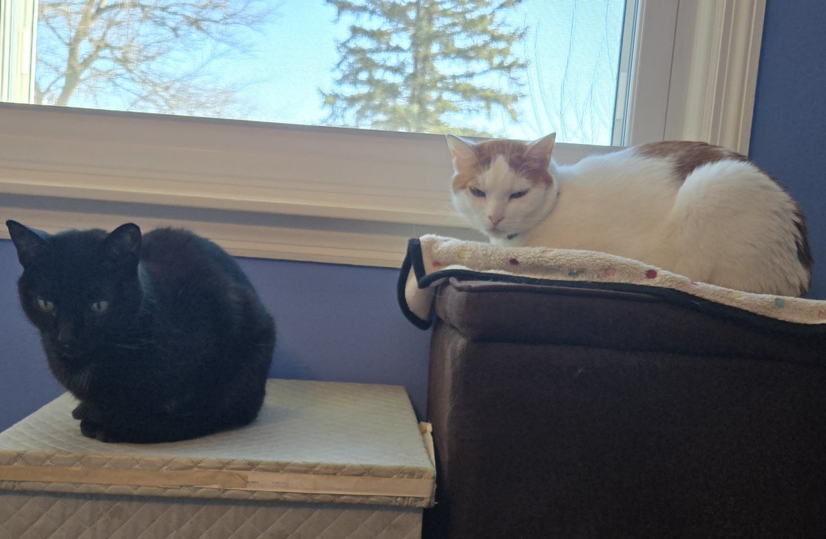 Busy Boy Floyd tweet media