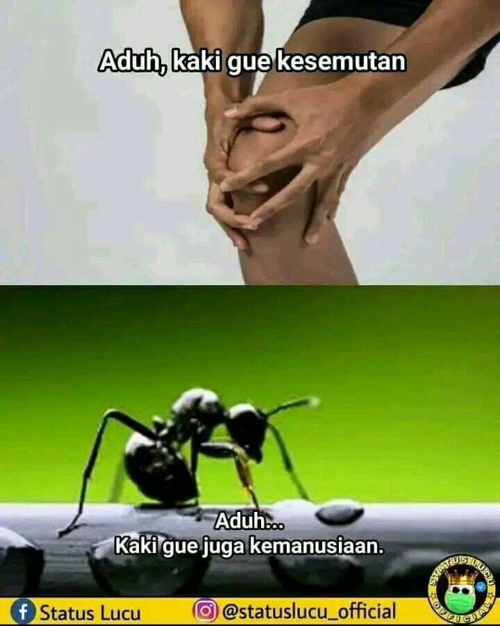 𐙚 (@wilonaaa) on Twitter photo 