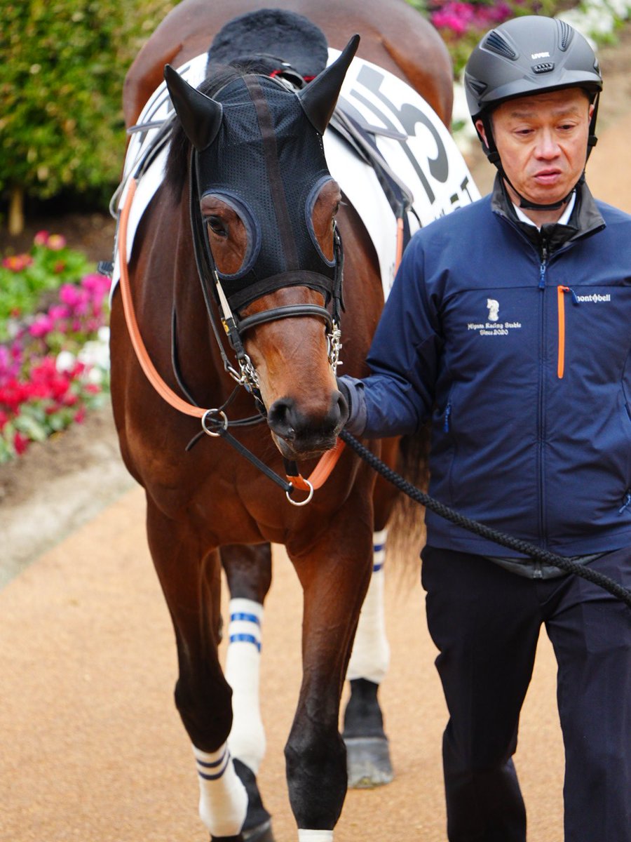 ねむ🐴‎𖤐‎ ̖́- (@nmnm411nmn) / Posts / X