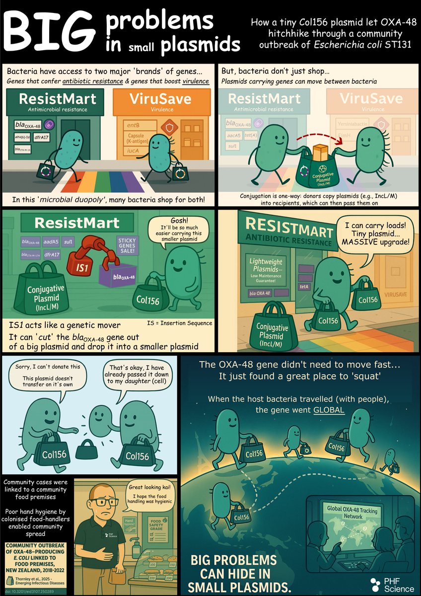 Rhys White 🧬 tweet media