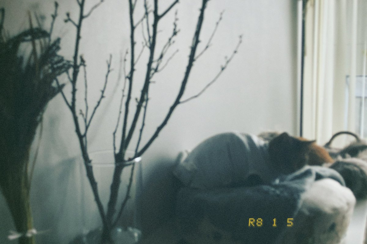 cocoon____4's tweet photo. 謹賀新年 https://t.co/kTLLSyi3zo