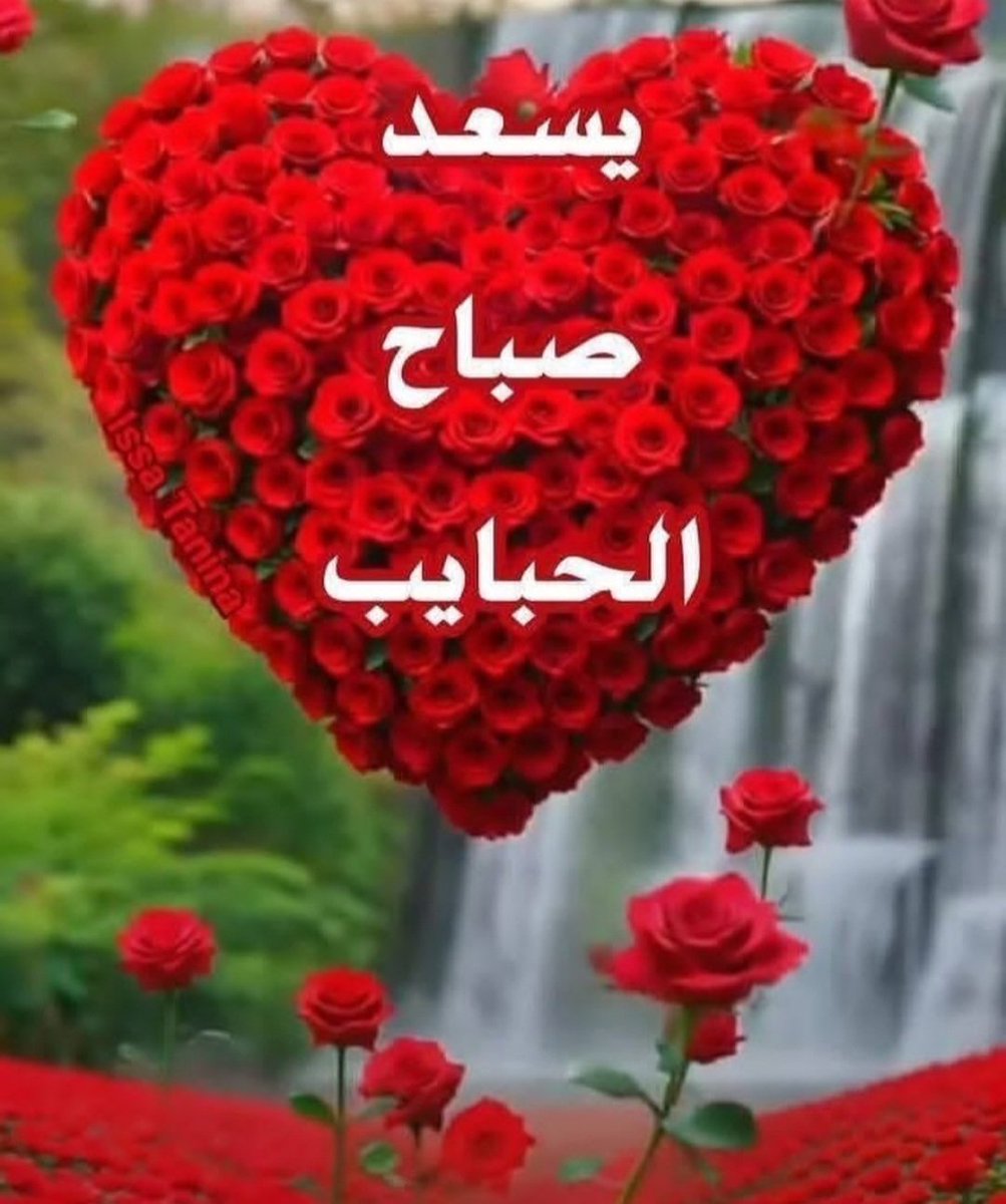 صباح  الخير للجميع 💗 وخصه للمتابعين 💓
صباح الوفاء والنقاء🌹
صباح الفل والورد والياسمين 🥀🌹💐
صباح المحبه والعفو والتسامح🌹
صباح الجمال والروعة والإحساس 💐