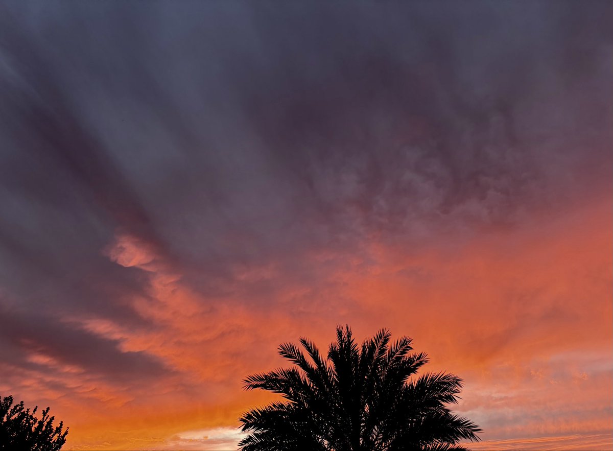 luhecatena's tweet image. The sky was bruised