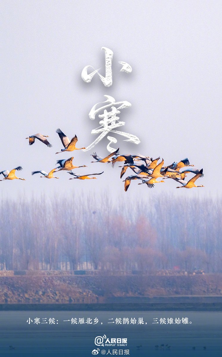PDChinese's tweet photo. 【今日，小寒】①1月5日16時23分，將迎來2026第一個節氣小寒。②小寒三候：一候雁北鄉，二候鵲始巢，三候雉始雊（gòu）。③小寒到了年的腳步就近了，春天就不遠了。新的一年，願平安圓滿，萬事順遂！ https://t.co/qWvXNAM51o