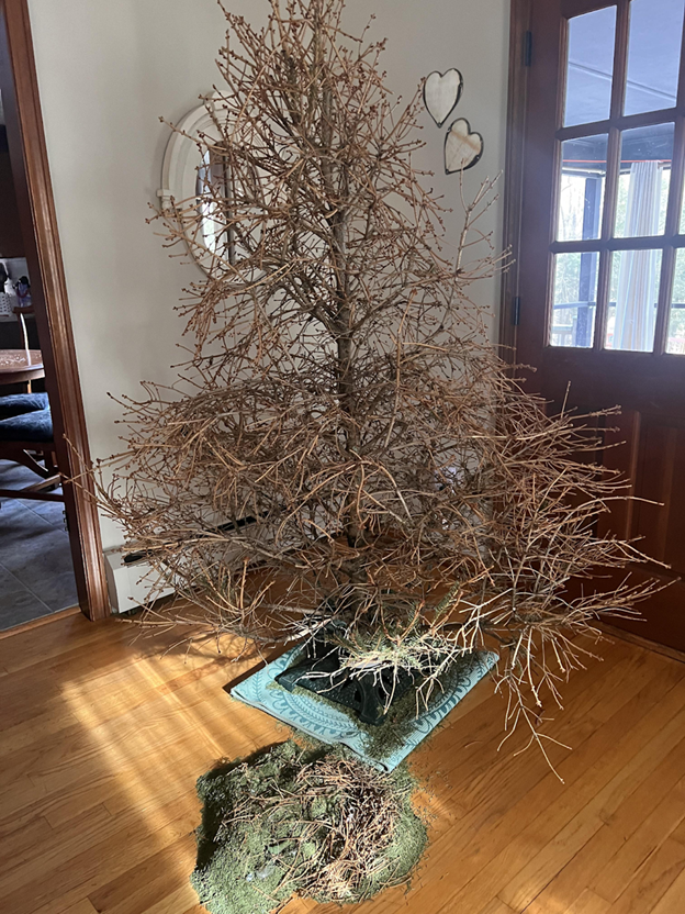 West Seattle Tool Library tweet media