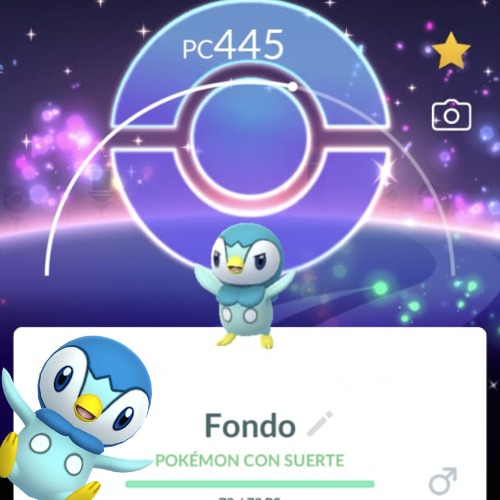 Se logró conseguir el #piplup con fondo en Shiny y con suerte por intercambio espejo ✨😍

#PokemonGO #pokemoncommunityday #pokemon