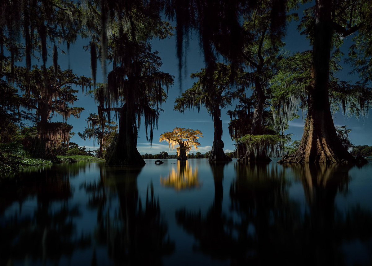 Frank Relle tweet media