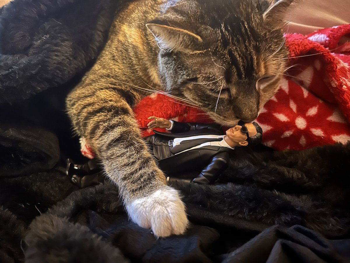 HLFlo's tweet image. I’m crying look at her