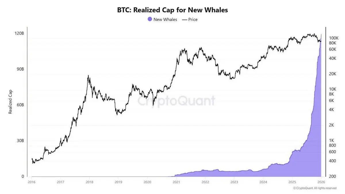 👀新生巨鲸增持BTC速度创历史新高据#CryptoQuant 平台数据，新生加密巨鲸囤积#BTC 的速度正处于历史最高水平。配图信息显示，超10 万个
